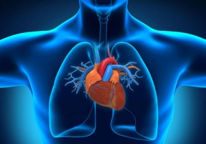 Сеанс диагностики и оздоровления дыхательной системы, сердца